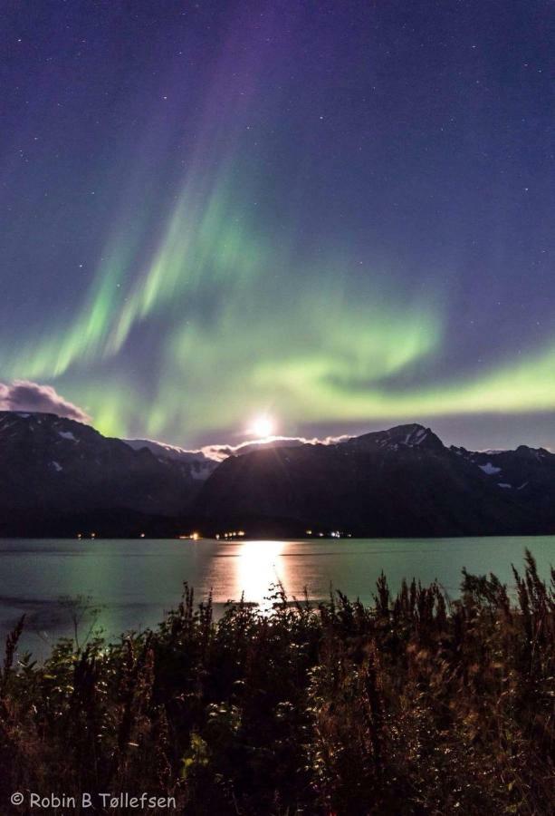 Sjursnes Fjordferie Apartment ภายนอก รูปภาพ