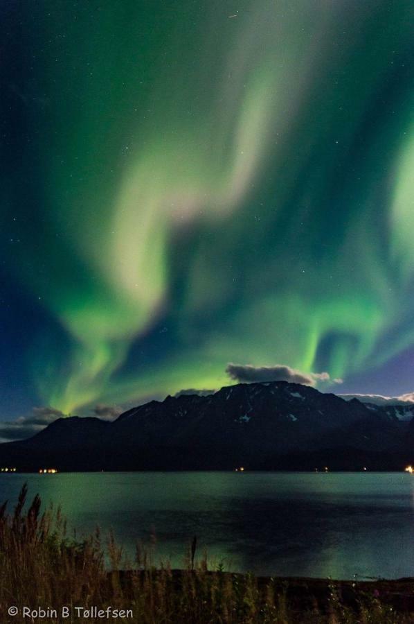Sjursnes Fjordferie Apartment ภายนอก รูปภาพ