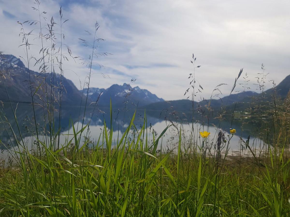 Sjursnes Fjordferie Apartment ภายนอก รูปภาพ